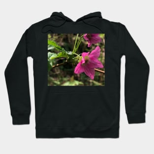 The Splendor of Pink Budding Forest Magnificence Hoodie